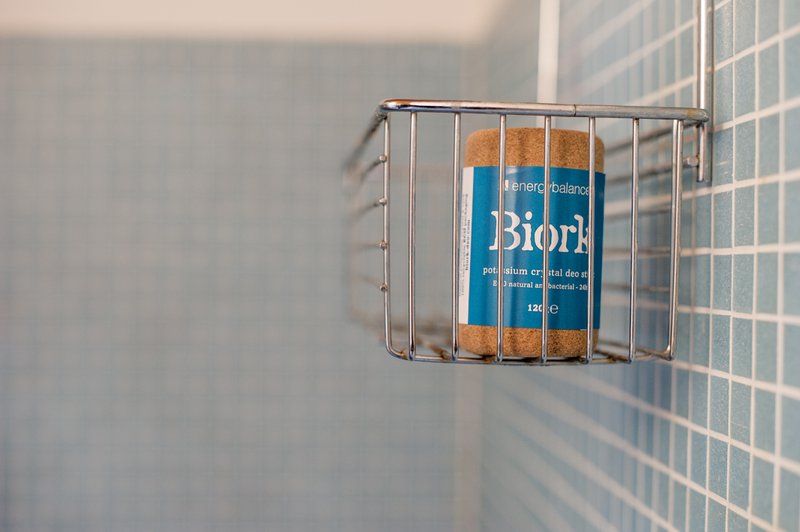 Biork - 2