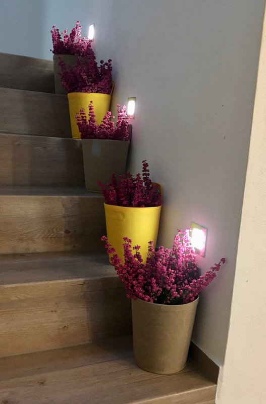 Blooming Walls Ltd. - 5