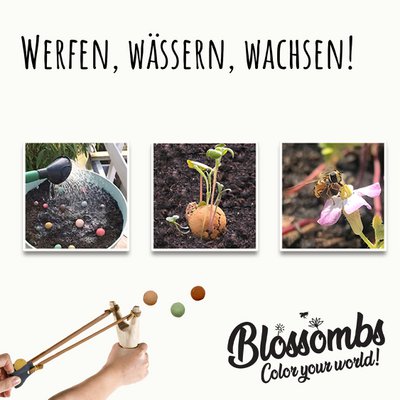 Blossombs English