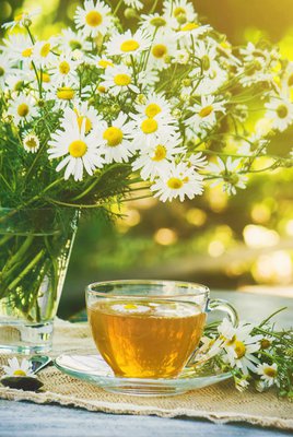 HOOGLY TEA LIMITED
