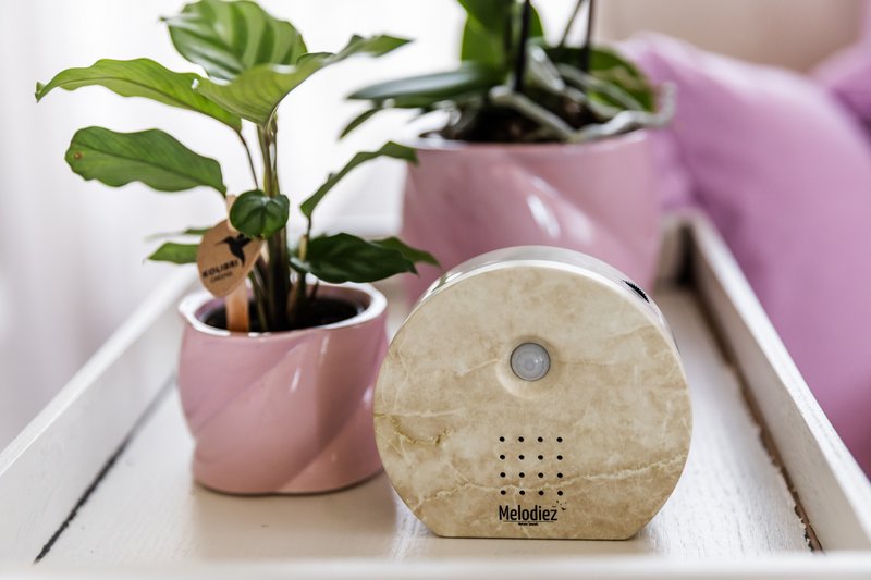 Melodiez - Natuurgeluiden Box - 5