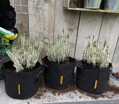 BagYourPlant