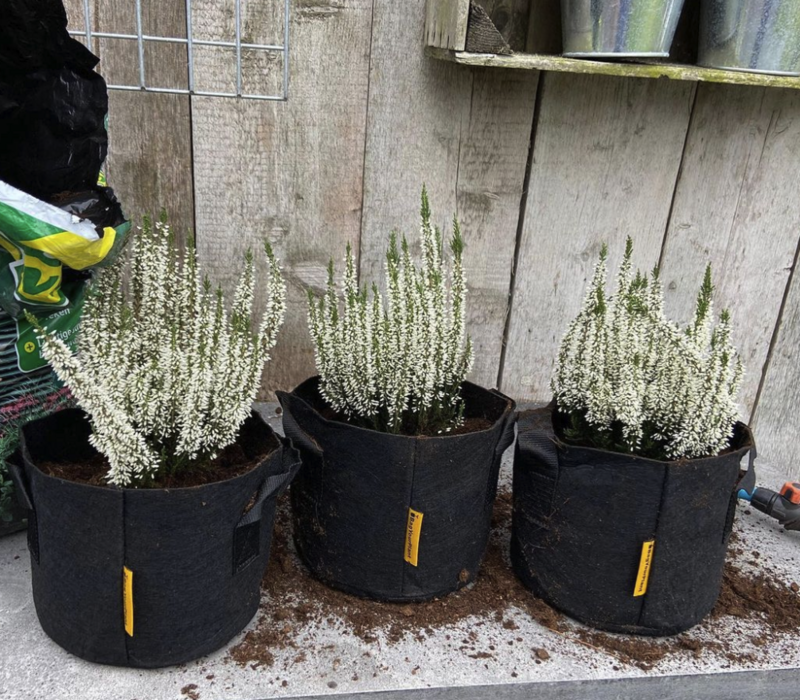 BagYourPlant - 2