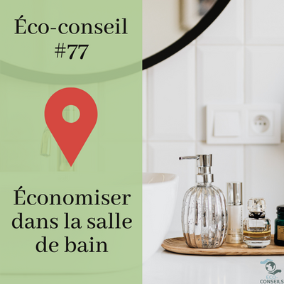 ECO-CONSEILS