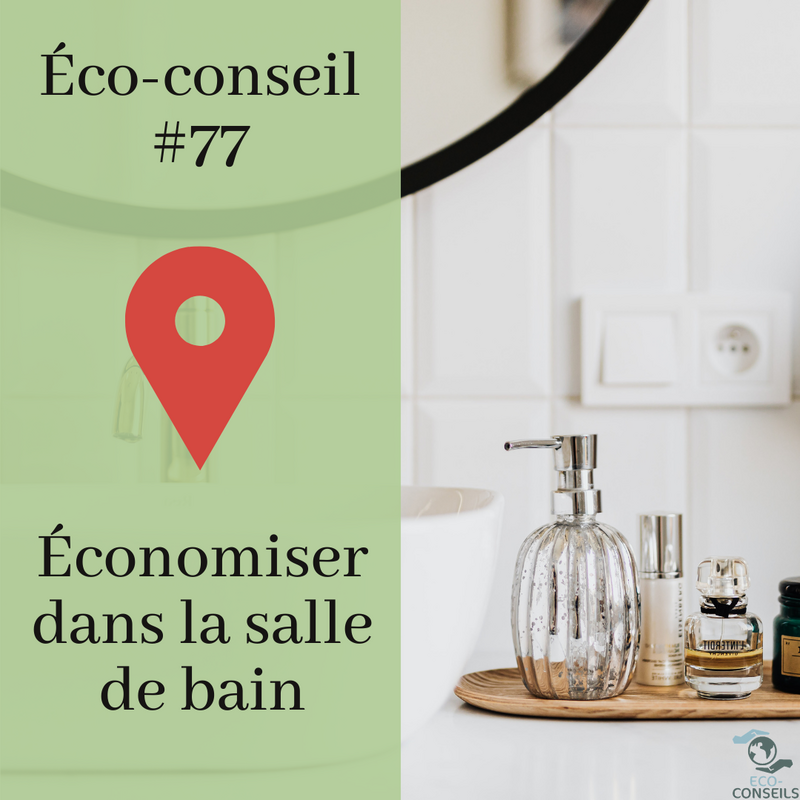 ECO-CONSEILS - 1