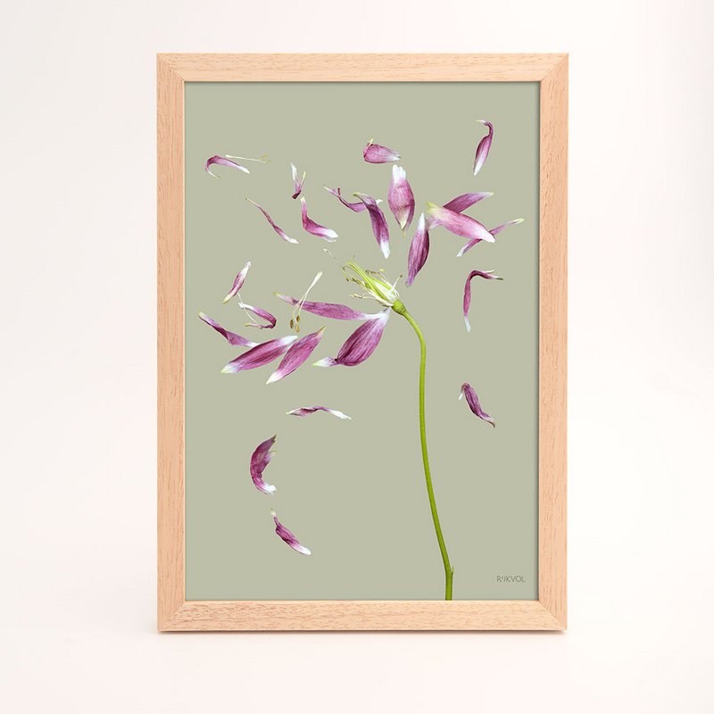 Rijkvol - 5