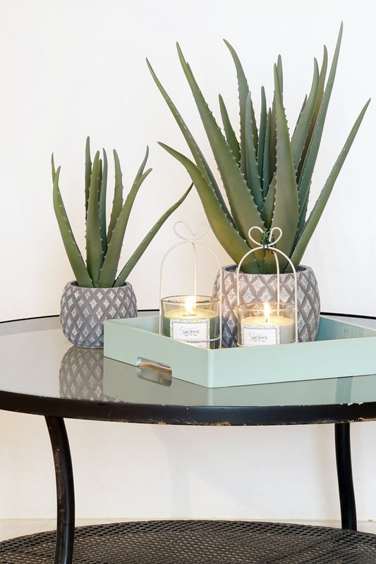 Alexandra Candles - 5