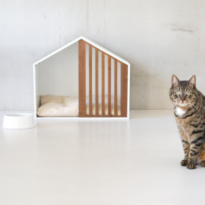 STUDIO ANIMAUX