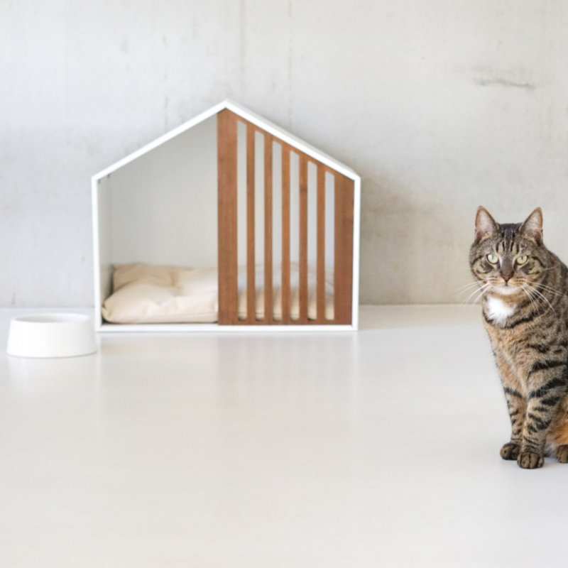 STUDIO ANIMAUX - 2