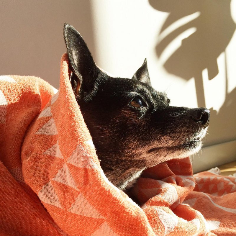 HELLO TURCO Turkish Towels - 3