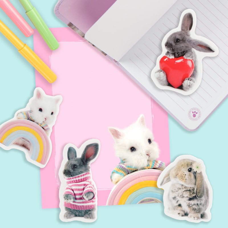 Studio Pets by Myrna - 8