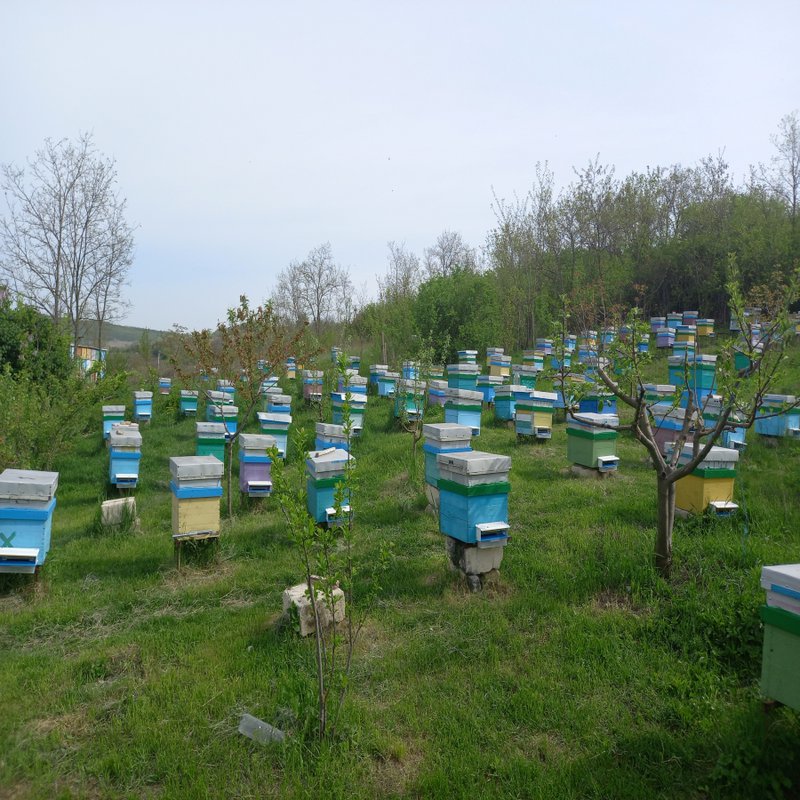 Promoldavie - 3