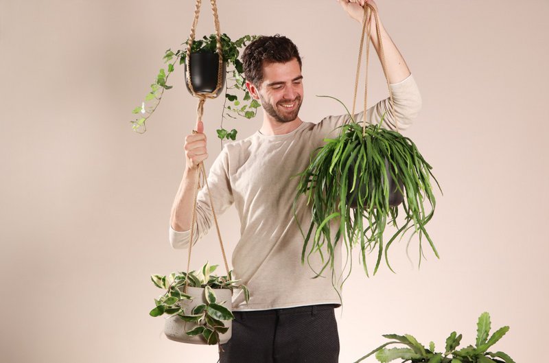 Plantsome - 2