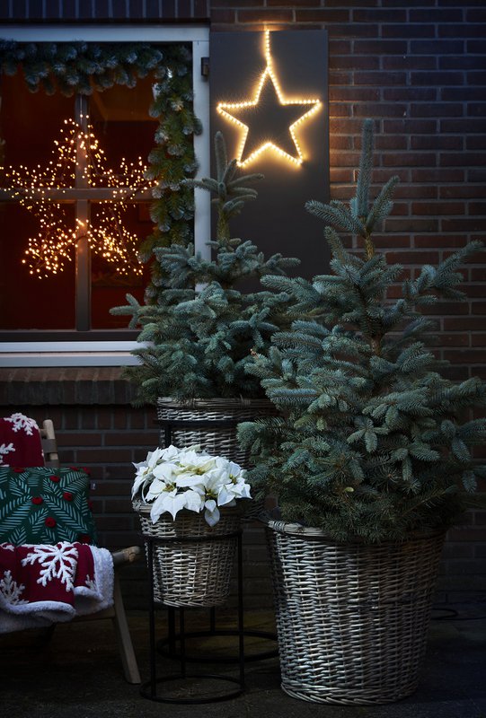 Luca Lighting - 6