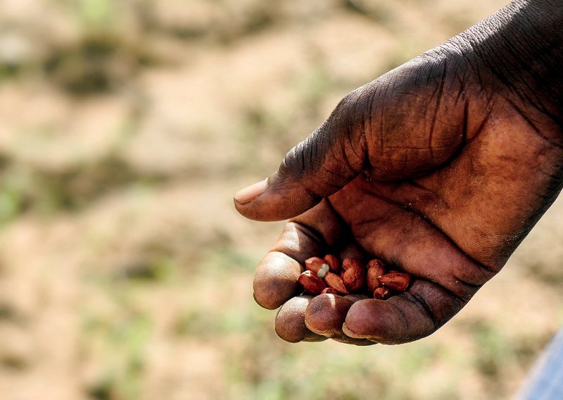 AfreeGems.com to Africa - 8