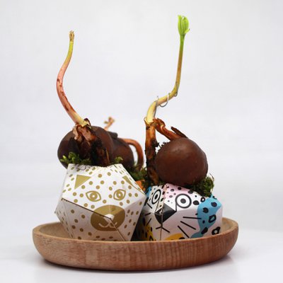 OriBon