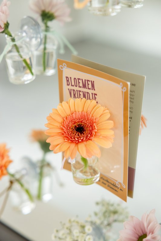 JP deco (Juffrouw Pannenkoek deco) - 1