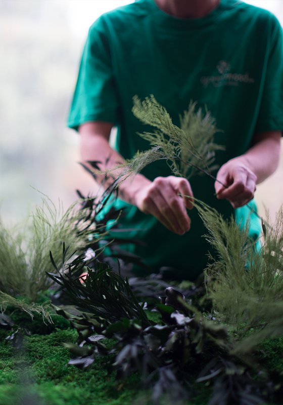 Greenmood - 6