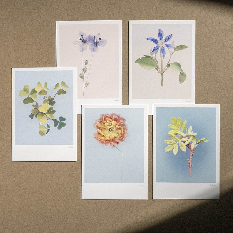 Rijkvol - 2