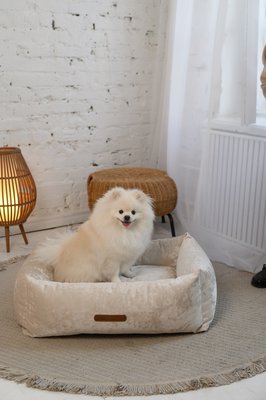 PAWEAREA — Luxury Pet Interiors 