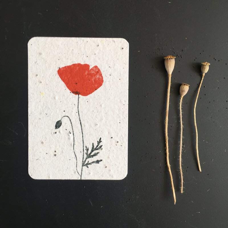 Studio Mabelle - 3