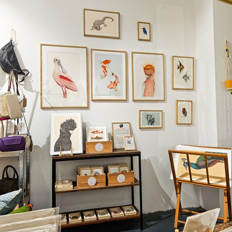 Studio Binck - 5