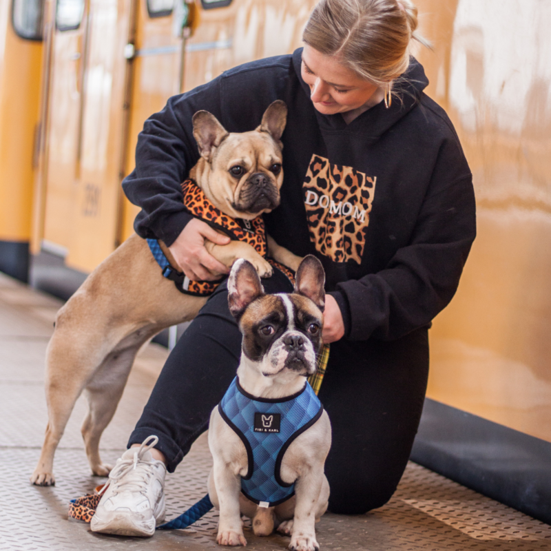 Fibi & Karl - 1