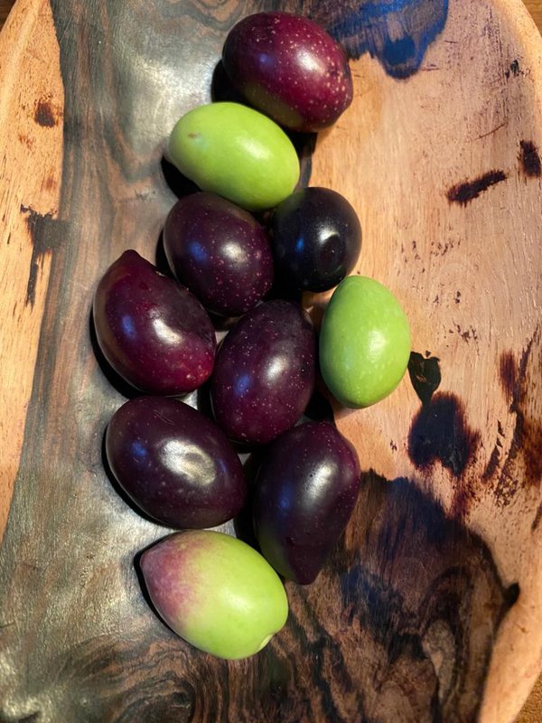ACEITES EL TILO - 4