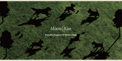 MoonRise