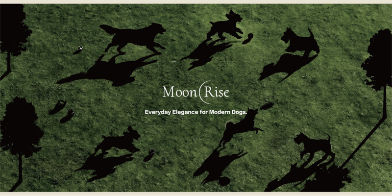 MoonRise - 2