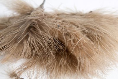 Enkels Feathers