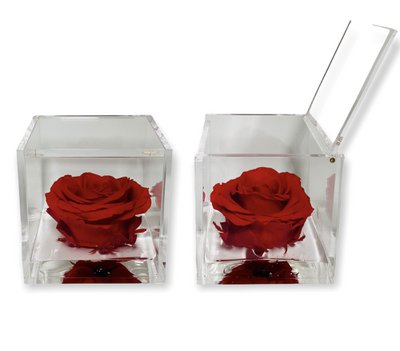 Premium Rose