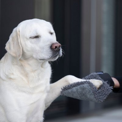 WOOFSTUFF - SHOP FOR DOGS