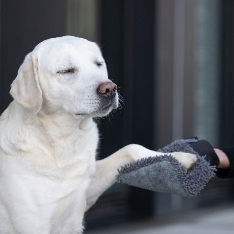 WOOFSTUFF - SHOP FOR DOGS - 4