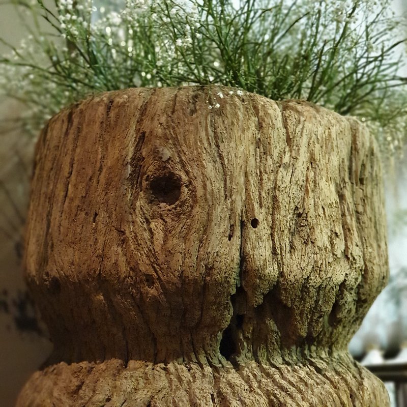 Swiet Home - 8