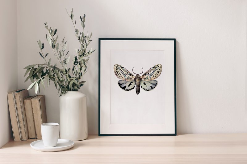 Studio Angelart - 2