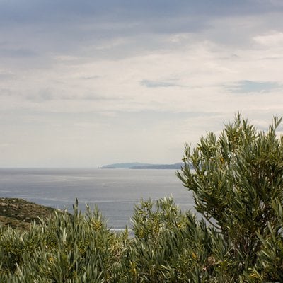 Canigooil - Llàgrimes del Canigó