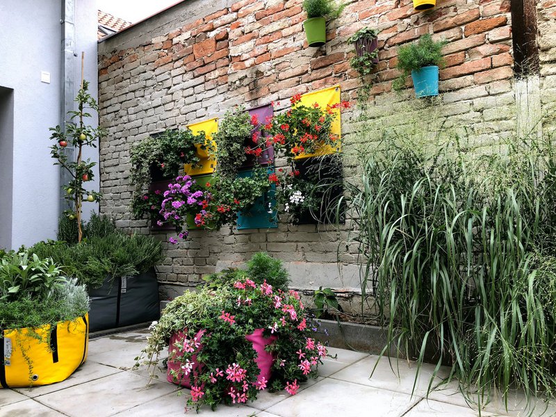 Blooming Walls Ltd. - 2