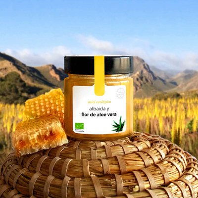 aloe vera pflanze kaufen bio Bio Aloe Vera Frischblatt bestellen