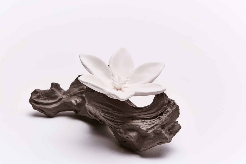 ANOQ Decoration & Parfums - 5