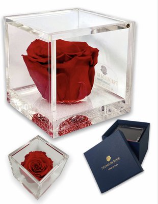 Premium Rose