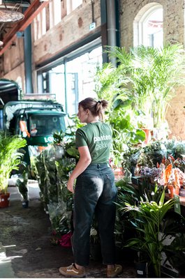 Plantsome