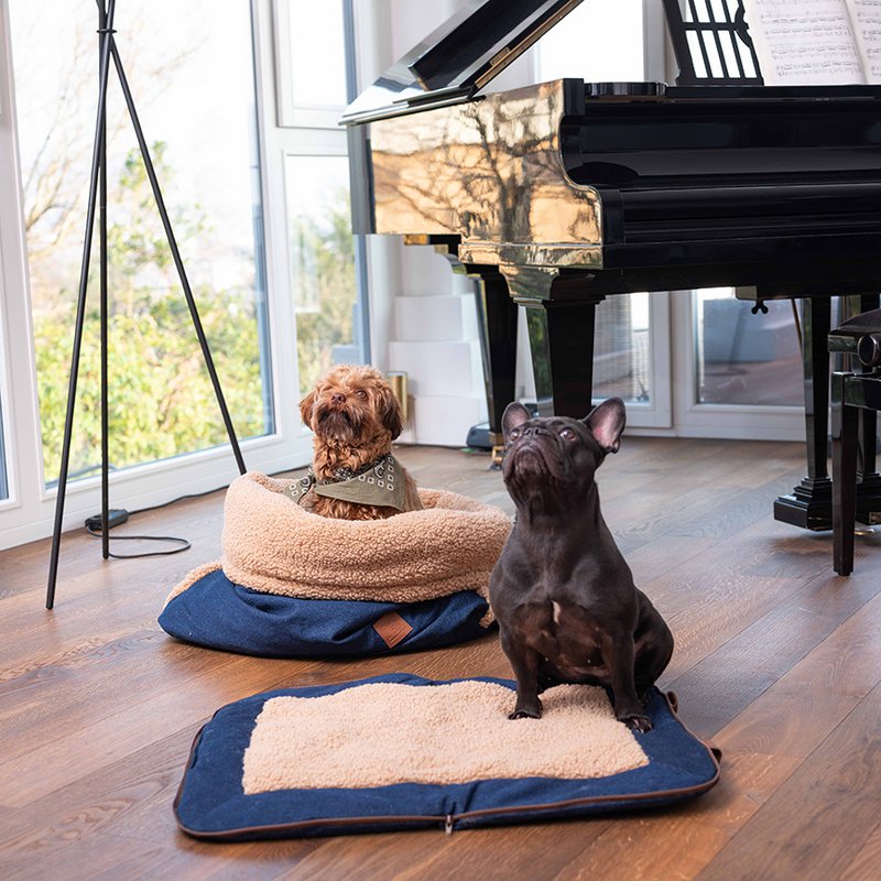 PET & Co. - 6