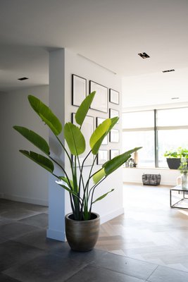 Green boutiQ