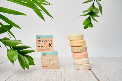 Blokzeep