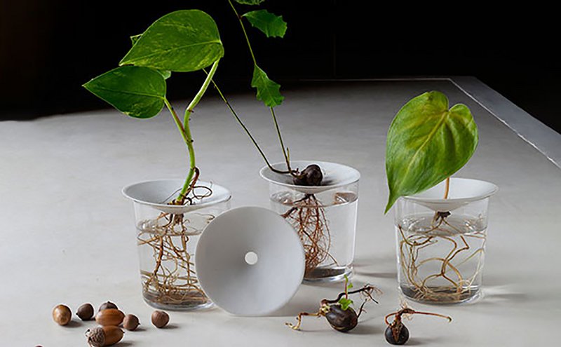 Botanopia - 2