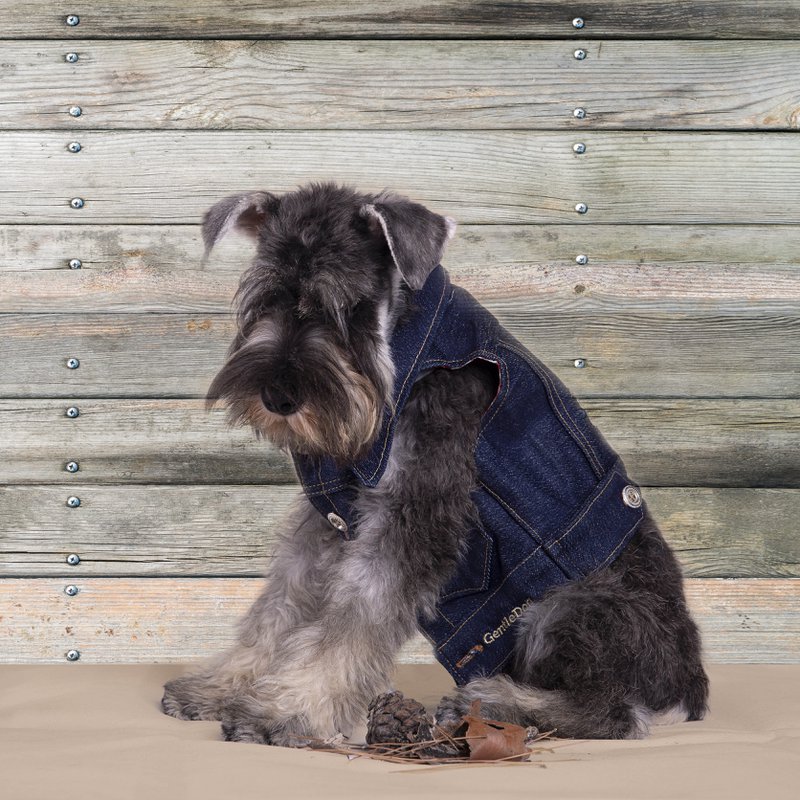 GentleDog - 2