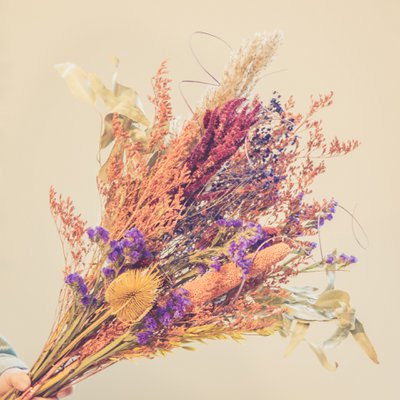Blommes