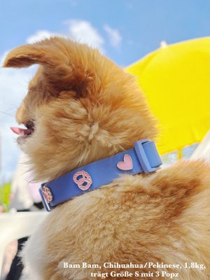 PawPopz