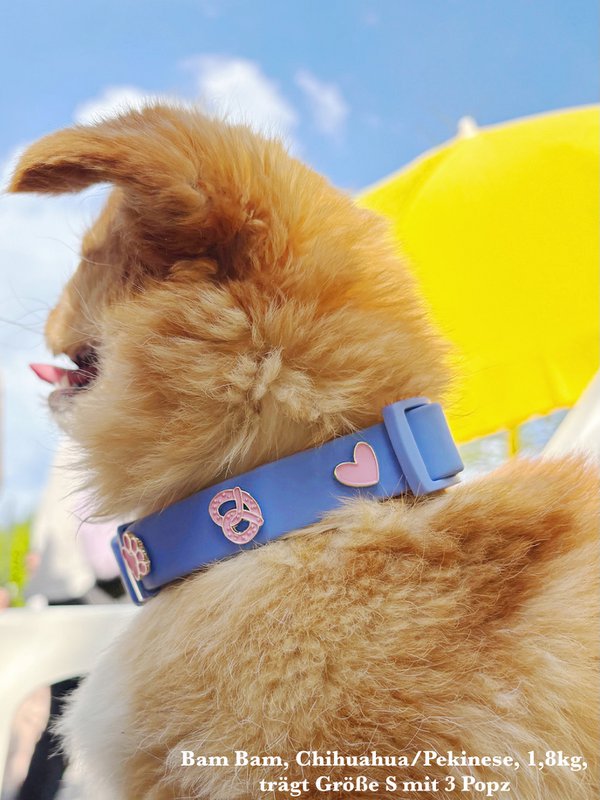 PawPopz - 4